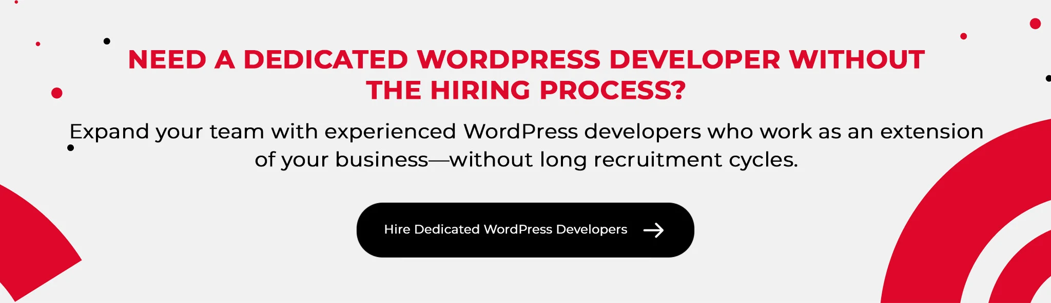 Hire Dedicated WordPress Developers