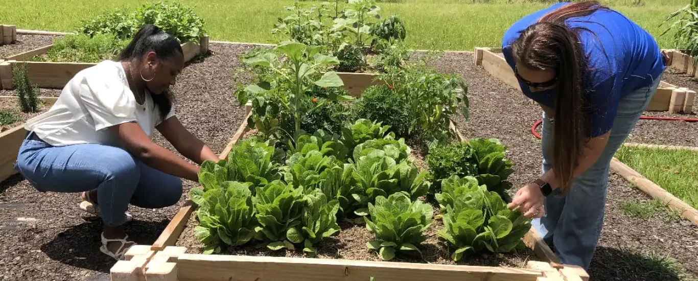 Community garden banner webp r7j62illbcwcutwms3bi908u4u57bf3vsm9h24zsho c0670583d5