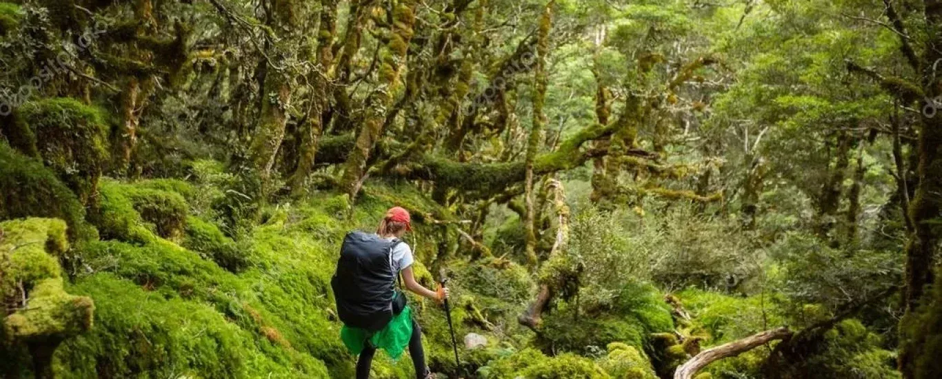 Depositphotos 108483922 stock photo woman hiker with backpack walking e1750259403230 r7hu04jlw24hphe81mddl5xljx0o6oksvzbf38nt30 e2089b0309